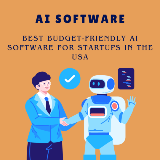 AI Software for Startups in the USA