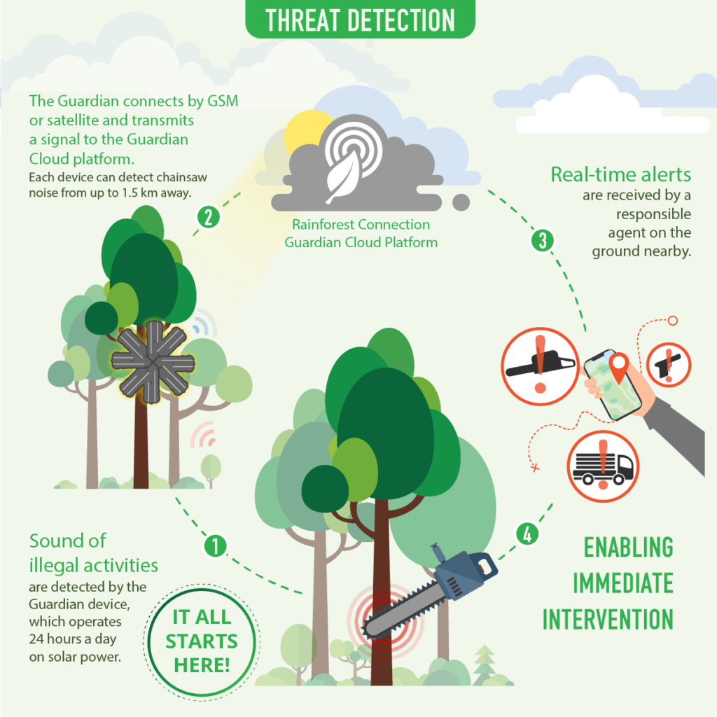 Social Good: 5 Powerful AI Forces Driving Global Change 6 Rainforest Connection